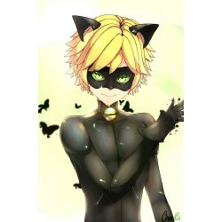 Miraculous Ladybug Chat Noir X Malereader