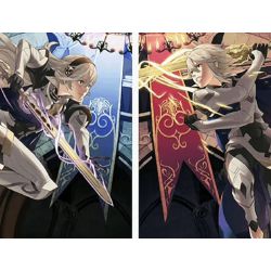 Which Fire Emblem Fates Class Is Best Suited For You Quiz