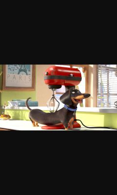 the secret life of pets watch online dailymotion