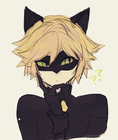 Akuma My Kitty Chat Noir X Reader