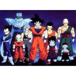 Dragon Ball Z X Reader Stories