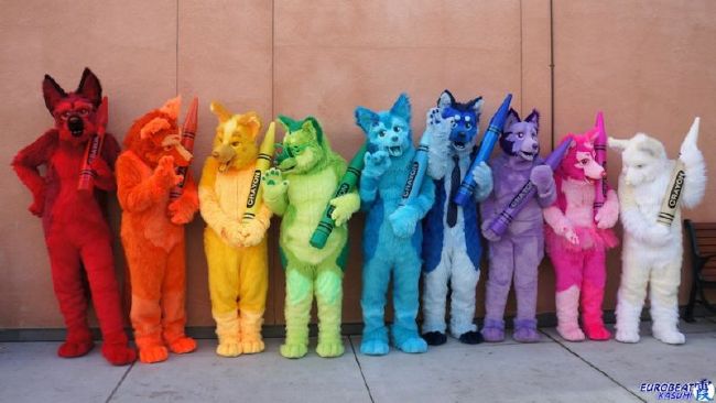 Are you a Furry? Quiz