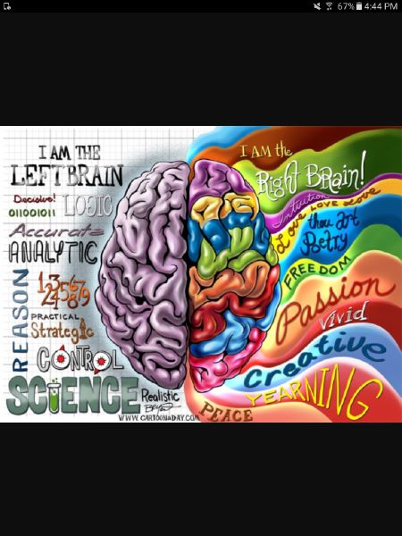 Are You Left Or Right Brained? - Quiz