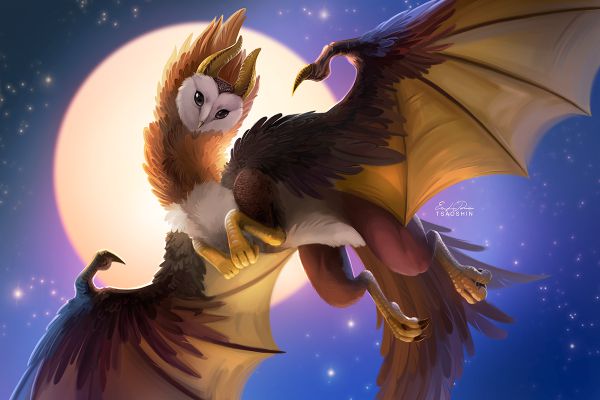 Which Harry Potter Wyvern would you get along with? - Quiz