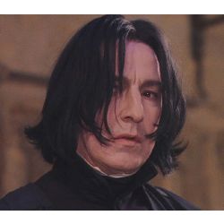 The Falling Star - Severus Snape x OC