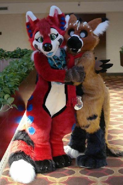 What Should Your Fursona Be ? - Quiz