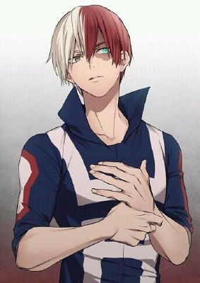 Criminal Mistake | My Hero (Shoto Todoroki x reader)