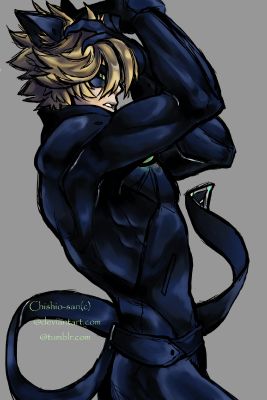 Chat Noir X Reader Im The Only One You Can Love All Mine