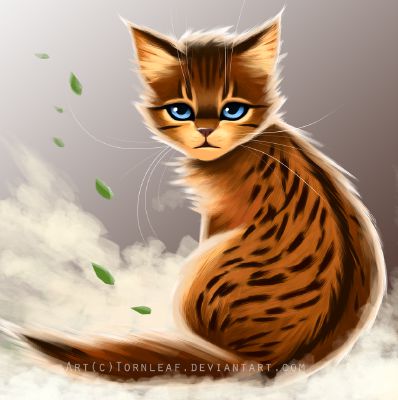 Littlecloud | Willowthorn | Warrior Cats Weird Facts