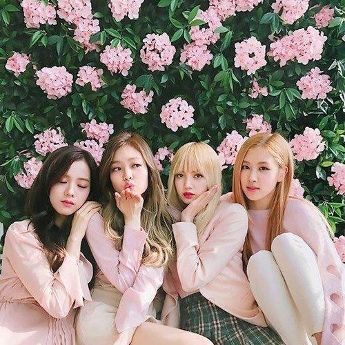 Which BLACKPINK Member LOVES you? - Quiz
