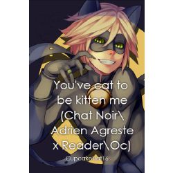 Cat Noir X Oc Reader