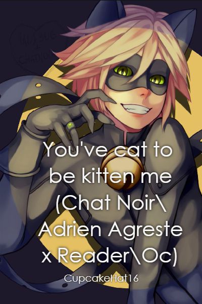 You Ve Cat To Be Kitten Me Chat Noir Adrien Agreste X Reader Oc