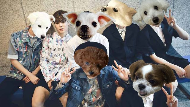 Which BTS Member Is More Suited For You? Quiz