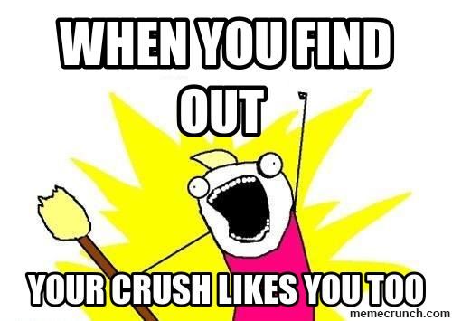 does-your-crush-like-you-quiz