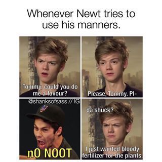 TMR/TBS Memes Try Not to Laugh - Quiz