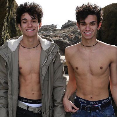 How Well Do You Know The Dobre Twins? - Test