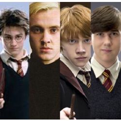 Who is your harry potter brother (girls only) - Quiz