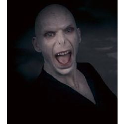 q posket voldemort