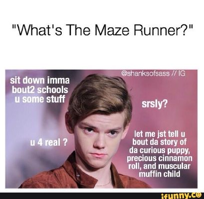 Maze Runner Memes - Quiz