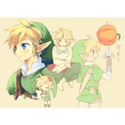 Link x Reader Oneshots