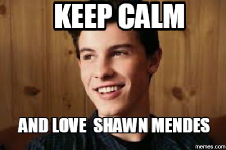 I Don T Even Know Your Name A Shawn Mendes Fanfic