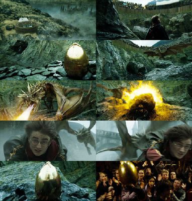 Chapter 6: The First Task | The Goblet of Fire (Harry Potter x Reader)