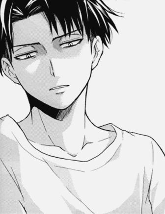 Levi X Reader | Was It Worth It?