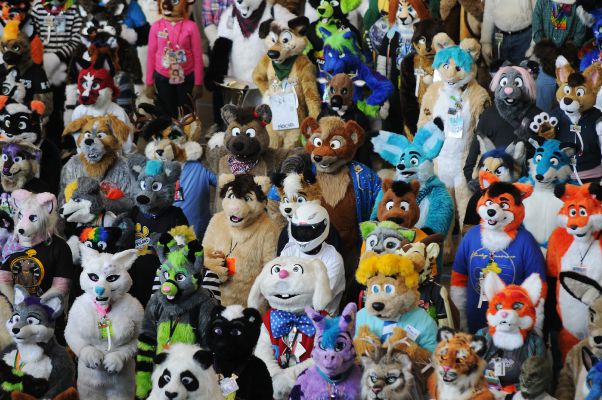 What type of Furry are you? Quiz