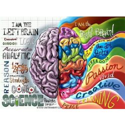 left right brain app