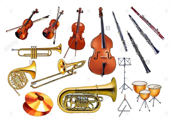 percussion instruments quiz percussion instruments quiz