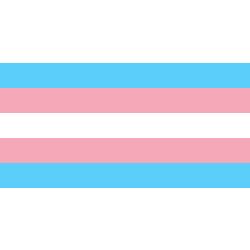 Transgender quiz ftm