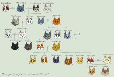 Featured image of post Warrior Cats Graystripe s Family Tree warrior s return paperback by hunter erin