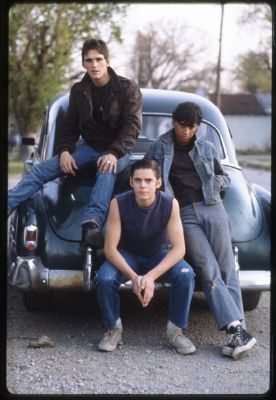 real wild child the outsiders real wild child the outsiders