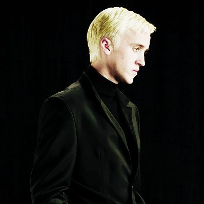 Stealing a Pureblood's Heart (Draco Malfoy Love Story)