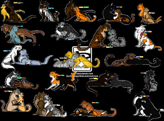 What Should Your Warrior Name Be? - Quiz