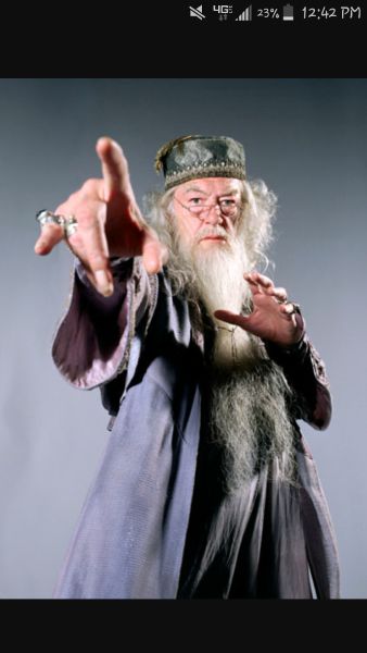 q posket dumbledore