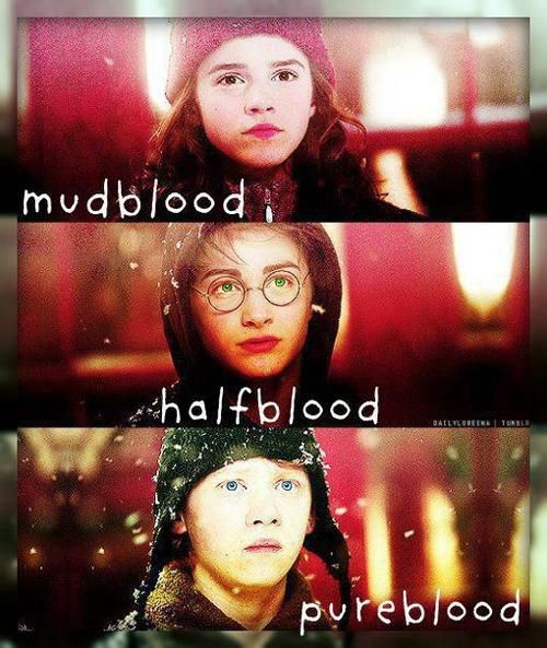 What's your blood status ? Quiz