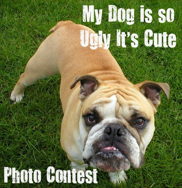 are-you-cute-or-ugly-quiz