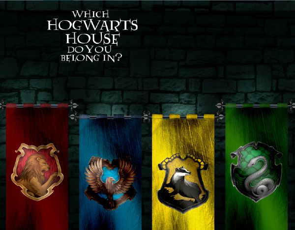 Which Hogwarts House are you Most Likely to Get Accepted