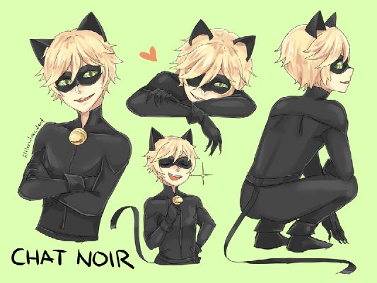 Spoken (Miraculous!Chat Noir x Citizen!Reader)