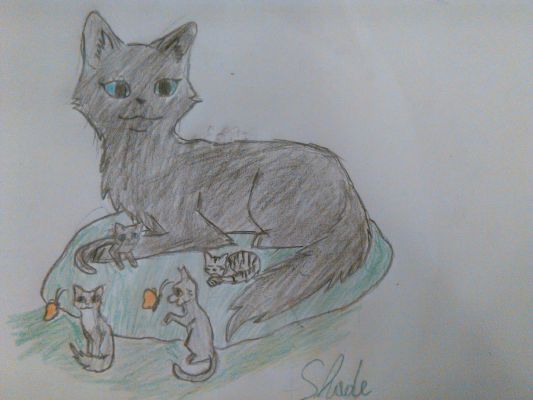 Moon A Kittypet Cheeka41aj Chapter 13 Warrior Cats And