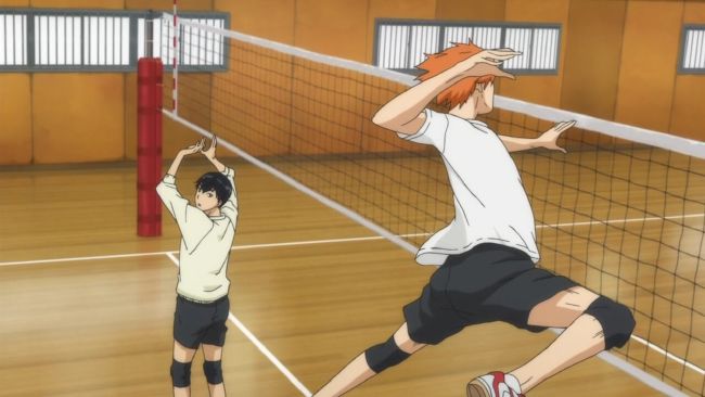 Iv The View From The Summit The No 1 Setter Shōyo Hinata X Reader Haikyuu