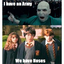 Harry potter memes