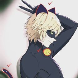 Chatnoir X Reader