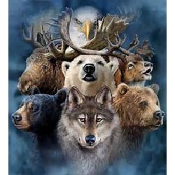 What Is Your Spirit Animal Quiz