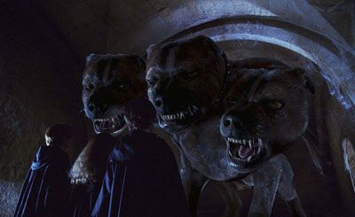 Chapter 5 Three Headed Dog What The Heck Witch Of The Next Door Harry Potter Love Story