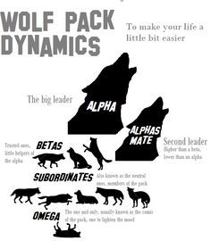 What Wolf Rank are YOU? - Quiz