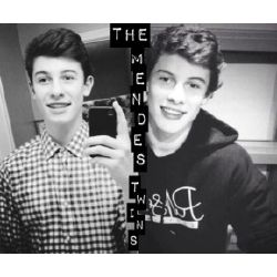 8 The Mendes Twins Shawn Mendes