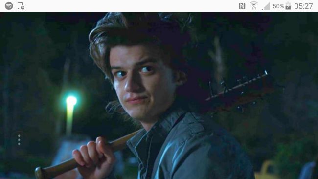 The Upside Down Steve Harrington Stranger Things Preferences And Imagines 3957