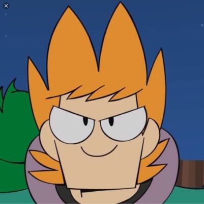 How good do you know Eddsworld? - Test